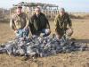 argentina bird hunt