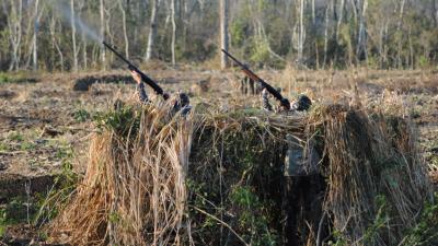 Bolivia Bird Hunting Bolivia Bird Hunting