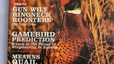 wings duck hunting magazine cover wings duck hunting magazine cover