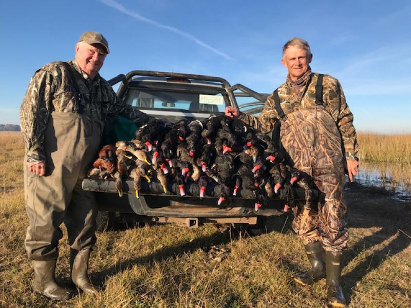 truck of ducks from duck hunt in estancia santa rita lodge argentina