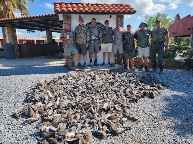 Laguna Madre White- wing dove hunt
