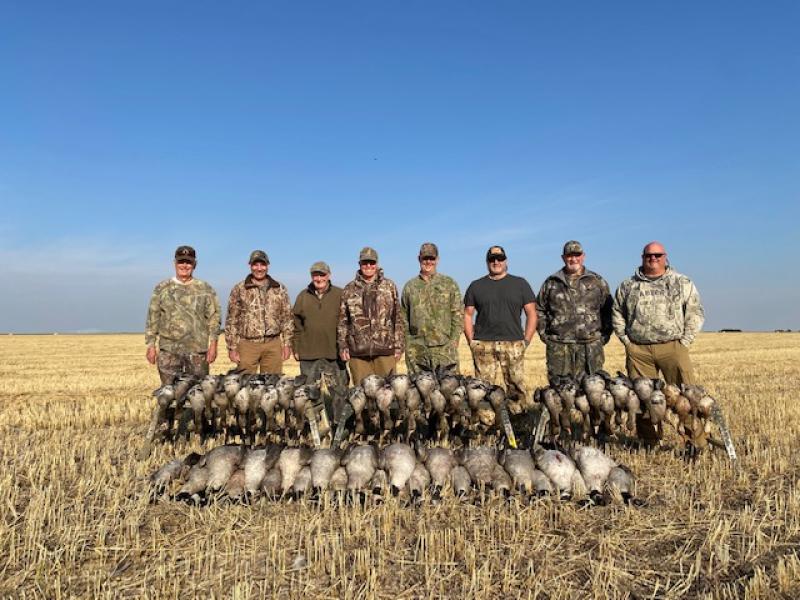 Only two birds shy of a 64 bird limit, this group of eight enjoyed great success hunting big Honkers & specklebellies in Western Saskatchewan!