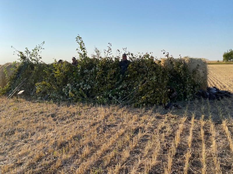 Well camouflaged A-Frame blind in Saskatchewan