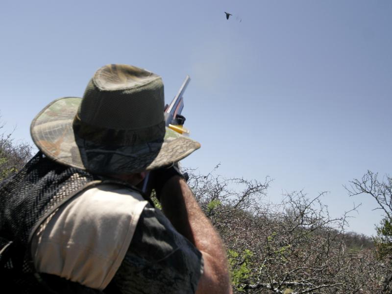 wings hunter shooting into air