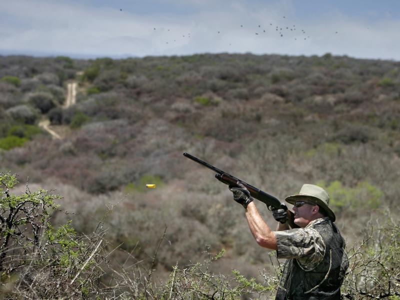 wings argentina hunter shooting into air