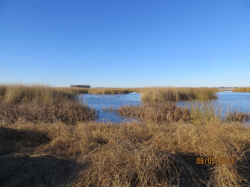 wings argentina landscape