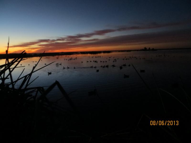 wings argentina landscape