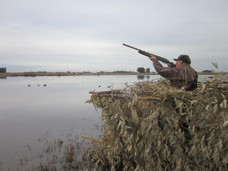 wings hunter shooting rifle into air
