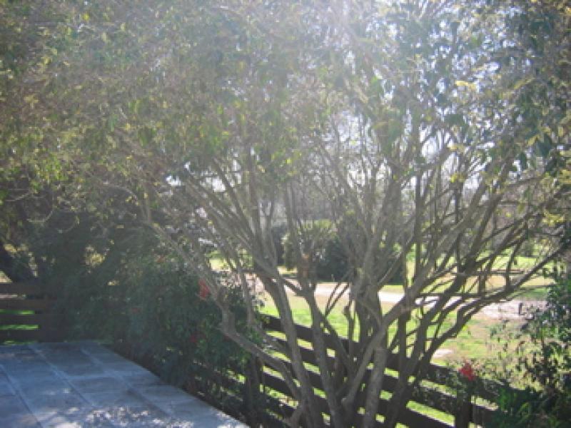 wings argentina lodge exterior