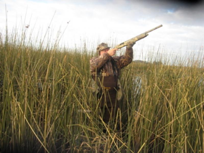 wings argentina hunter in grass shooting rifle into air