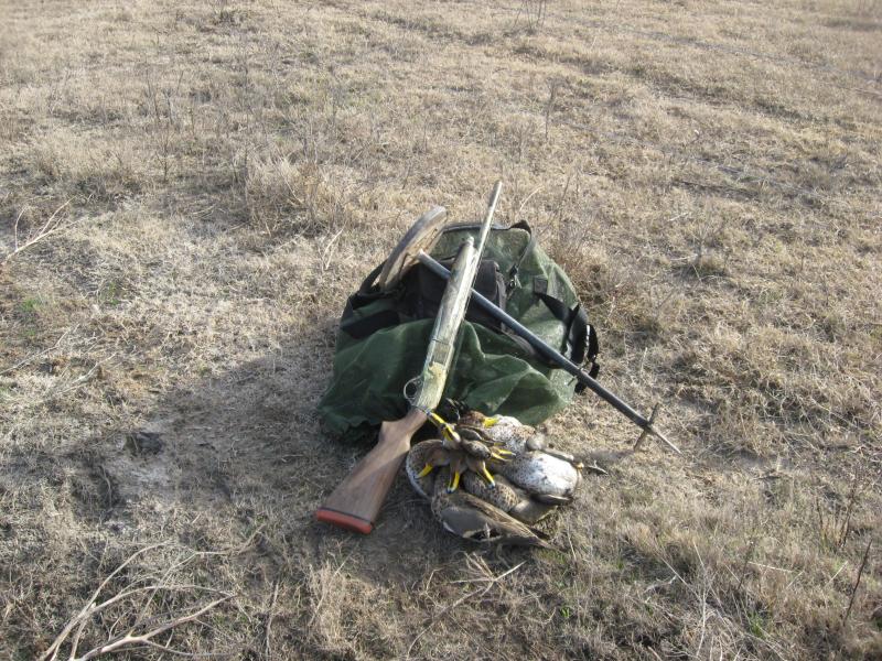 wings argentina hunter duck trophies