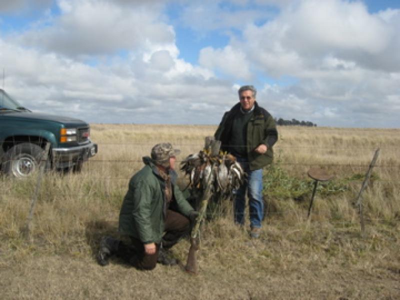 wings argentina hunters 