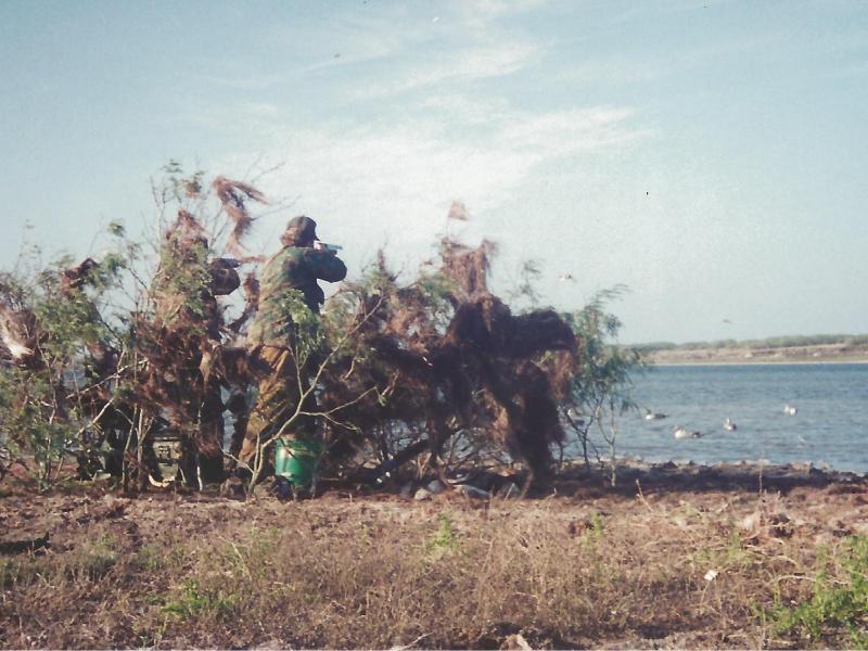 wings mexico hunters in bush