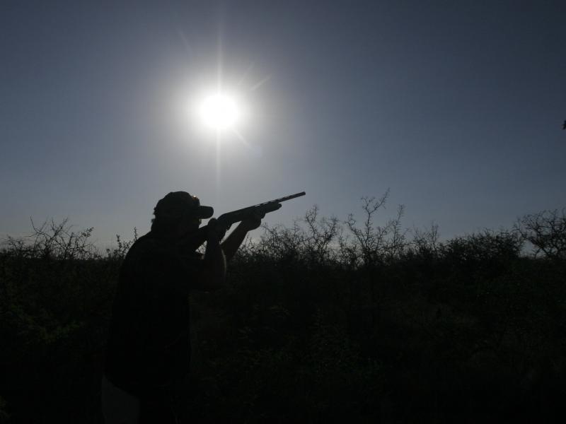 wings argentina hunter shooting rifle into air