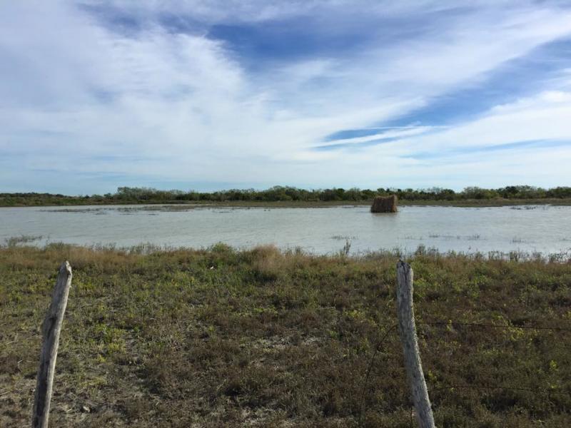 wings mexico landscape water