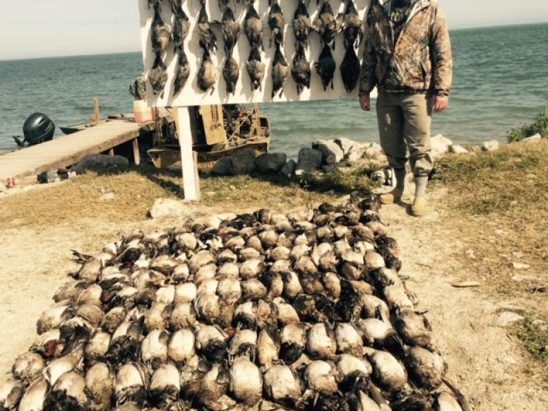 Wings bird hunting trophy