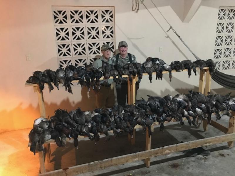 Wings LaFinca Mexico bird trophies