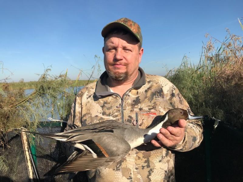 Wings Mexico Bird Trophy