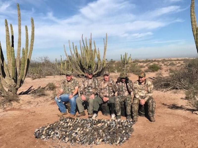 Wings Mexico Hunting Group Bird Trophies