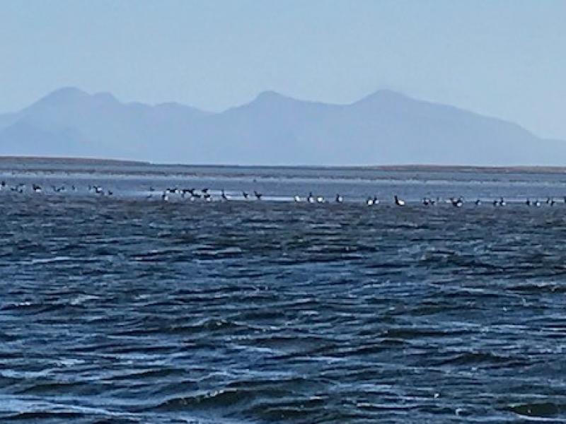 Wings Alaska water view