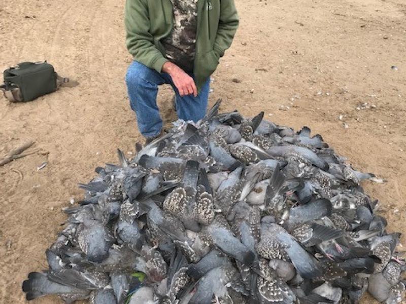 wings argentina duck hunter with trophies